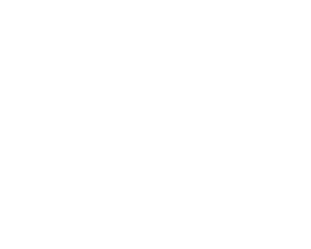 Dizayn Vizyon logosu